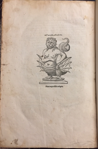 Portada de Lexicon Graecolatinum cui praeter Omneis Omnium additiones hactenvs, sive in Italia, fiue in Gallia, fiue in Germania impreffas, ingens uocabulorum numerus acceffittidcp partim ex graecorum lexicis, partim ex recentiu lucubrationibus: non quorumlibet, fed exquifitorum:nimiru GVLIELMI BVDAEI. ERASMI ROTER ODAMI. LAVRENTII VALLAE. HARMOLAI BARBARI. ANGELI POLITIANI. LVDOVICI COELLI. aliorumcp eiusdem claffis.