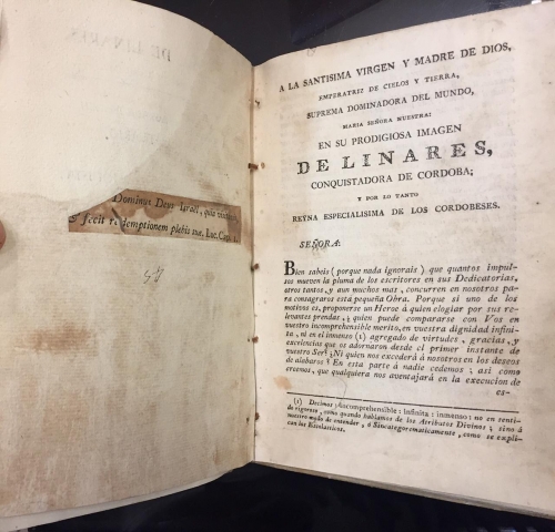 Portada de Nuestra Se�ora de Linares, Conquistadora de C�rdoba. Noticias de esta Sagrada Imagen y de su Santuario � Real Iglesia de la Conquista: publicadas por unos esclavos de la misma se�ora - Lucas de C�rdoba