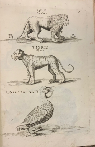 Portada de Apparatus Biblicus, sive Manuductio ad Sacram Scripturam - Bernardo Lamy