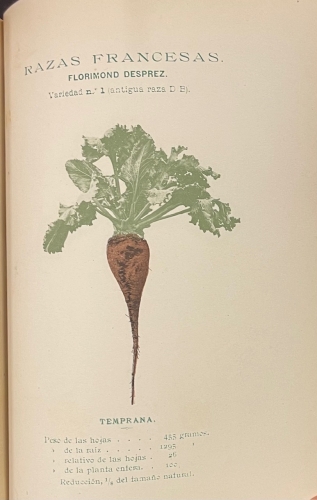 Portada de Tratado del Cultivo de la Remolacha Azucarera - Jorge Dureau