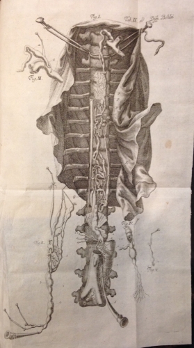 Portada de Disputationum Anatomicarum Selectarum - Albrecht Von Haller