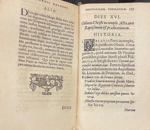 Portada de Meditationes Theologicae, Universae Theologiae Summam Complectentes, Tribus Partibus Distinctae et in XXXI Dies Distributae - Ioannis Malderi, (Joannes Malder)