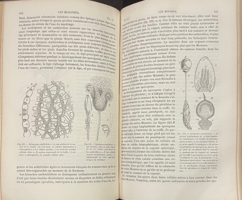 Portada de Traite de Botanique - J. Sachs