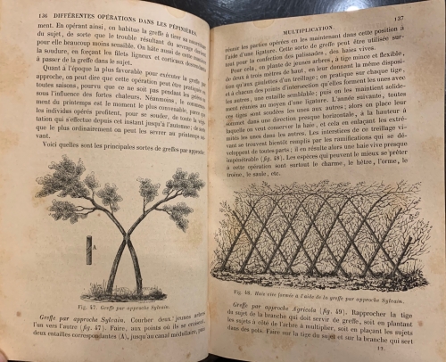 Portada de Cours Elementaire theorique et pratique D' Arboriculture - M. A. du Breuil