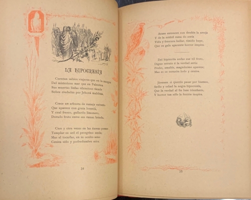 Portada de Aves y Flores. F�bulas morales - Antonia D�az de Lamarque