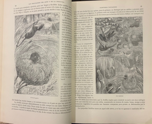 Portada de Los Precursores del Arte y de la Industria. Revelaciones de la Naturaleza - J. G. Wood