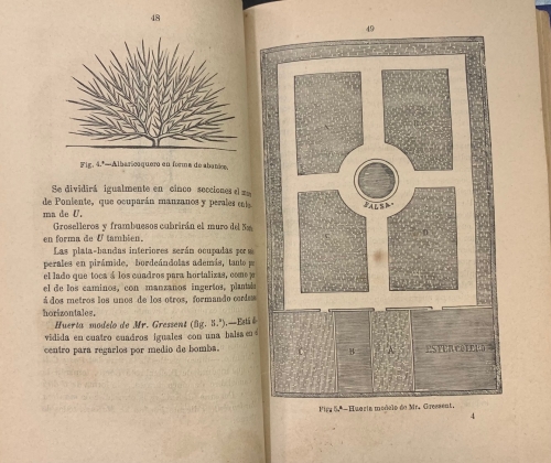 Portada de Cultivo perfeccionado de las Hortalizas con todos los adelantos modernos en el arte de forzarlas y bajo el punto de vista forrajero, del embalaje, transporte y conservaci�n - Diego Navarro Soler