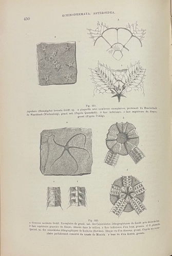 Portada de Trait� de Paleontologie - Karl A. Zittel