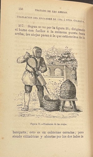 Portada de Tratado de las Abejas, su multiplicaci�n y productos en Espa�a - Jos� de Hidalgo Tablada