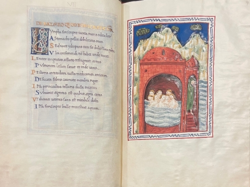 Portada de Nomina et Virtutes Balneorum Putheoli et Baiarum et Tabula Super Balneis Puteoli - Pedro de Eboli