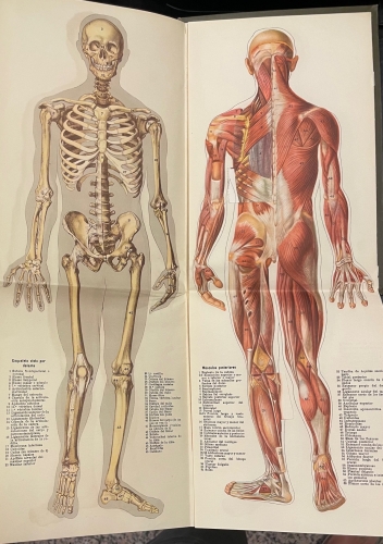 Portada de El M�dico en Casa. Gran Enciclopedia pr�ctica ilustrada de Medicina e Higiene - Fournol, Heiser y Samne