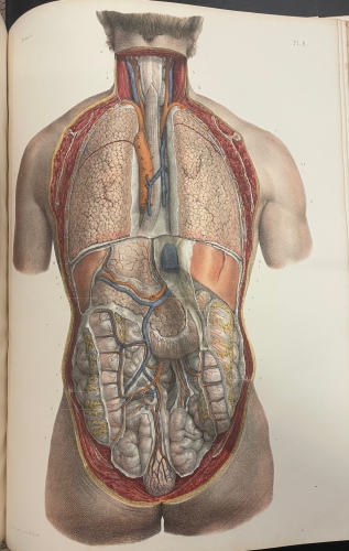 Portada de Trait� Complet de L'Anatomie de L'Homme comprenant L'Anatomie Chirurgicale et La M�decine Op�ratoire. Tomo V. Appareil de Nutrition. Splanchnologie  - Bourgery et Claude Bernard