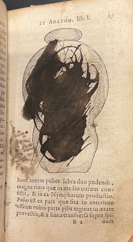 Portada de De Integritatis et Corruptionis Virginum Notis. Enneas Muliebris. De Origine Partium. De Septo Cordis Pervio. De Notis Virginitatis - Severin Pineau. Ludovico Bonaccioli. Felix Platter. Pierre Gasendi. Melchor Sebisch