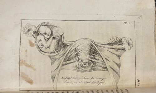Portada de L'Art de Procreer les Sexes a Volonte ou Histoire Physiologique de la Generation Humaine - Jacques-Andre Millot
