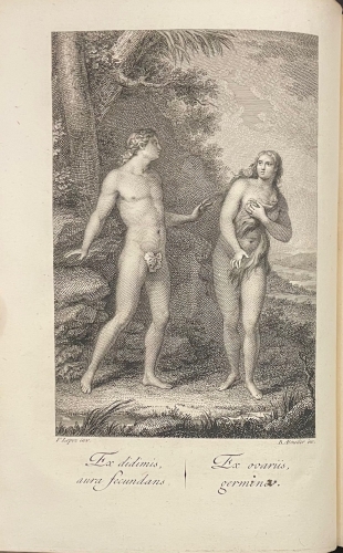 Portada de La Fisiologia y Patolog�a de la Mujer - Baltasar de Viguera