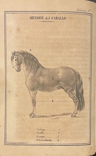 Portada de Manual de Veterinaria. Conocimientos indispensables del Exterior del Caballo y sus Enfermedades - Pedro Briones y Juan Abdon Nieto