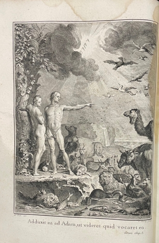 Portada de Dictionnaire Raisonn� Universel D' histoire Naturelle Contenant L' histoire Des Animaux, Des V�g�taux et Des Min�raux, Des V�g�taux et Des Min�raux, et Celle Des Corps C�lestes, Des M�t�ores, et Des Autres Pricipaux Ph�nomenes De La Nature - M. Valmont-Bomare