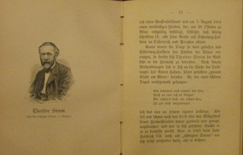 Portada de Theodor Storm. Ein Bild seines Lebens Und Schaffens.  - Theodor Wehl