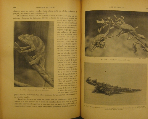 Portada de Historia Natural De La Creaci�n. Los Animales, Las Plantas, La Tierra, El Universo - Ealand, Scott Elliot, Grew, G. Dolmage