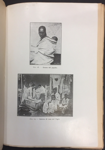 Portada de Il Tigr�. Descritto Da Un Missionario Gesuita Del Secolo XVII - Camillo Beccari